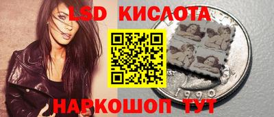 гидропоника Рыбинск