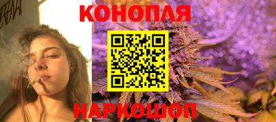 гидра Рязань