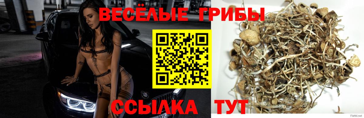 Галлюциногенные грибы прущие грибы Уссурийск