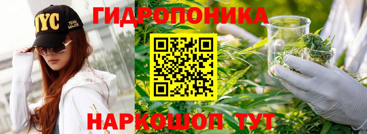 Канабис OG Kush  Вход с VPN  Конопля Bruce Banner  Бошки марихуана White Widow  Уссурийск  Бошки марихуана OG Kush 